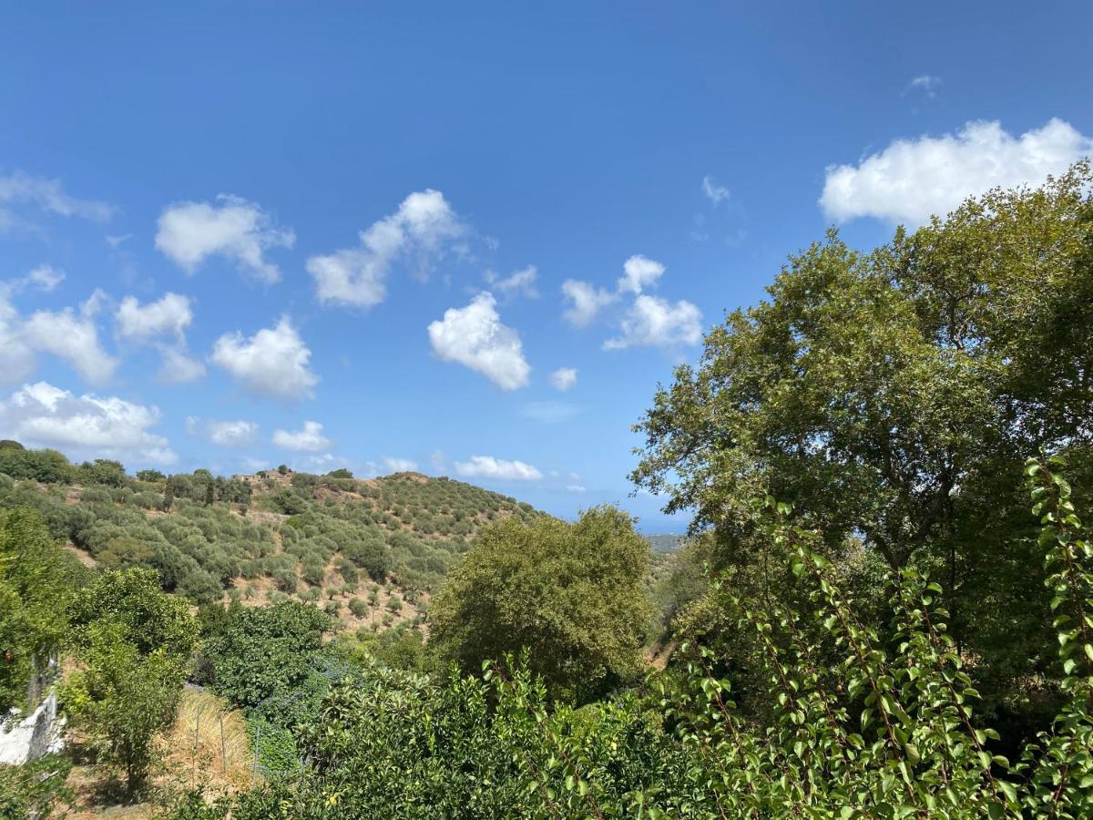 The Garden House, Sitia Apartman Kültér fotó